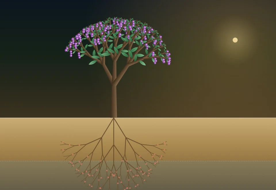 The whole engineered plant, from taproot to fruiting canopy