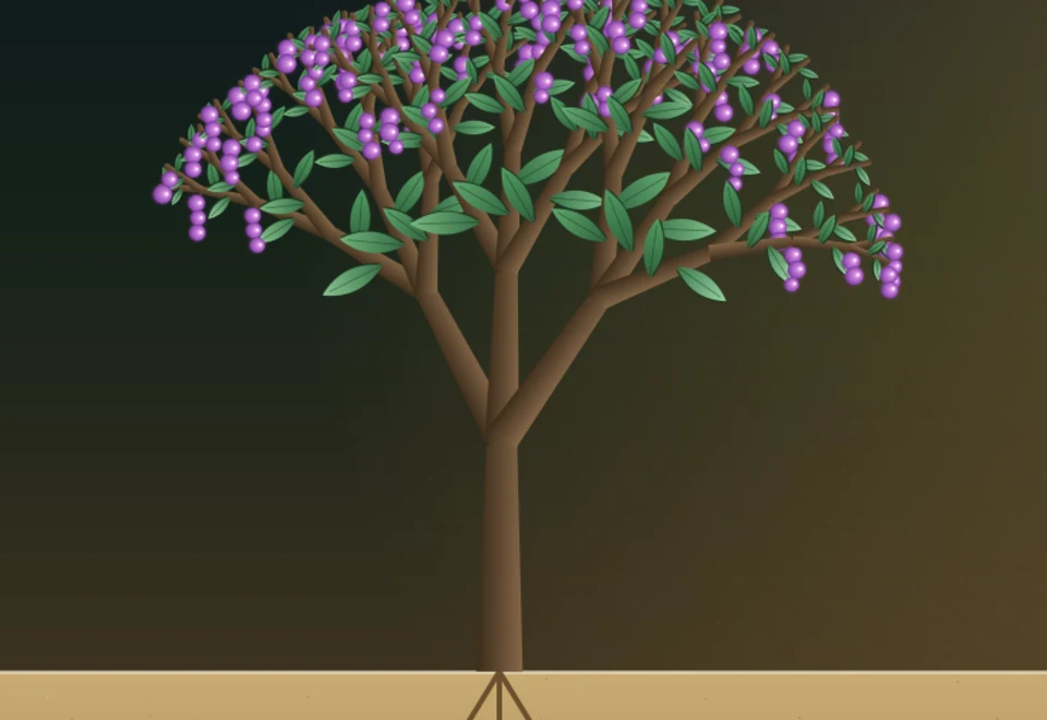 The fruiting canopy in detail — succulent leaves and violet fruit